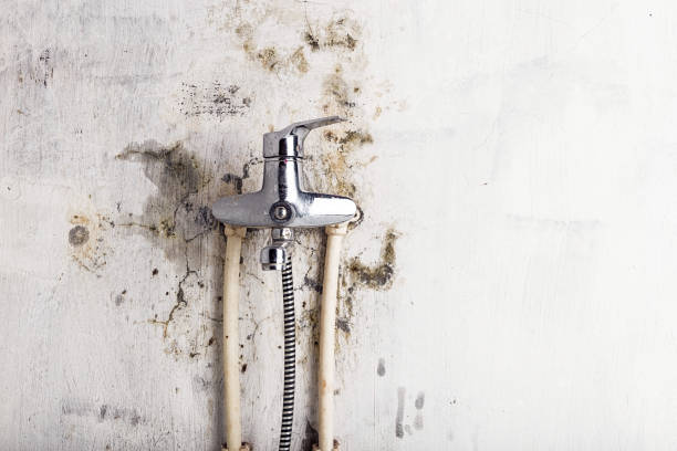 Best Mold Testing  in Highlands, CA