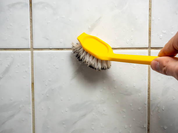 Best Affordable Mold Removal  in Highlands, CA