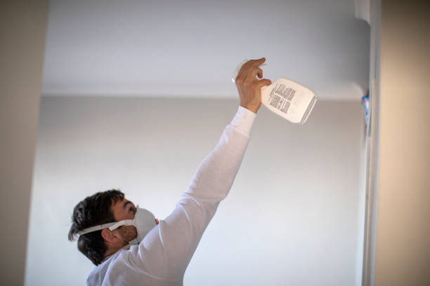 Best Mold Remediation  in Highlands, CA