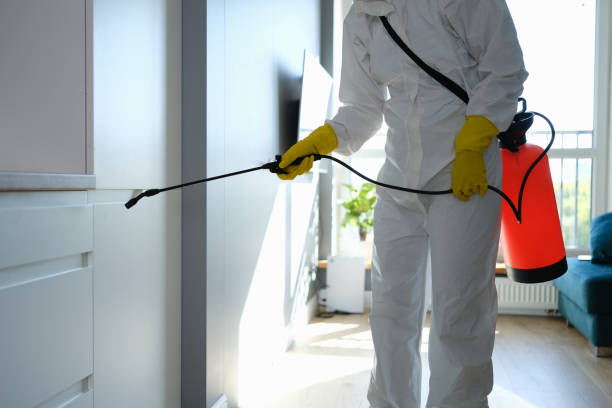 Best Fast Mold Removal  in Highlands, CA